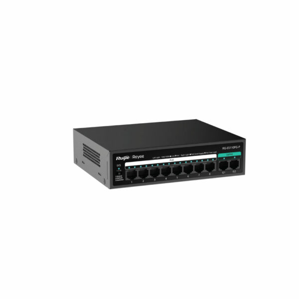 RG-ES110FG-P – Image 3